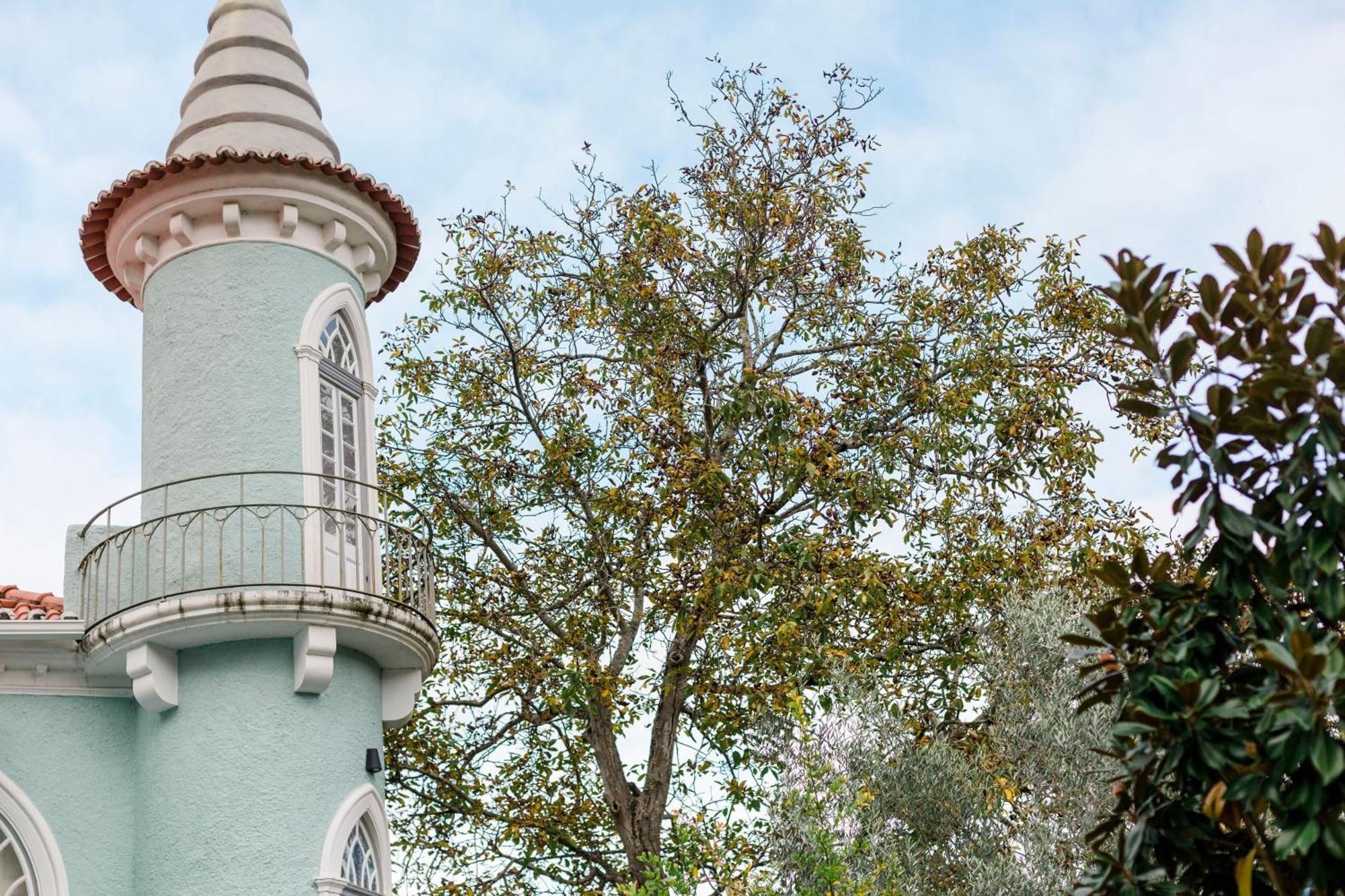 أناديا Torres Da Vila المظهر الخارجي الصورة